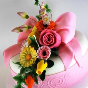 Meet your Posher, Silvija